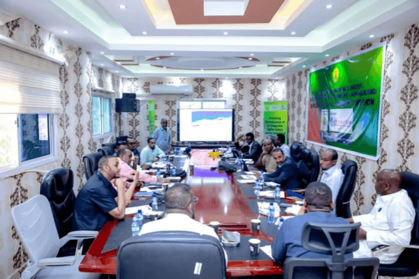 ICT Strategic Planning with MICT